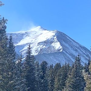 Meet your Posher, Annissa